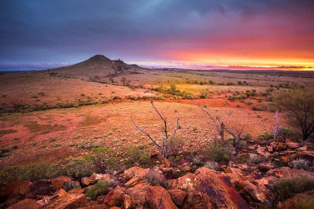 SEO in Alice Springs